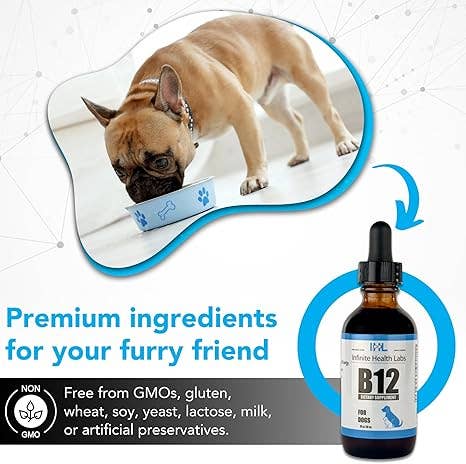 Infinite Health Labs, LLC – wholesale Pet supplement – Cat/dog – Liquid Vitamin B-12 for Dogs and Cats4