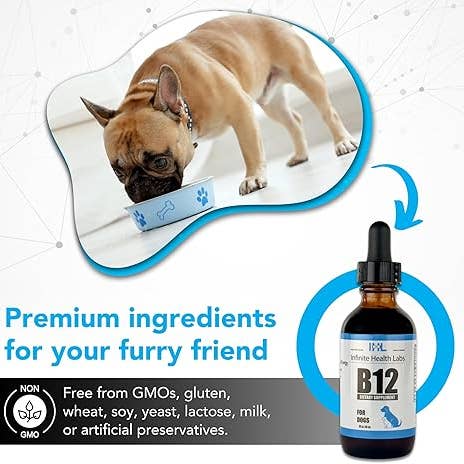 Infinite Health Labs, LLC - Vente Compléments alimentaires – chat et chien - Vitamine B-12 liquide pour chiens et chats4