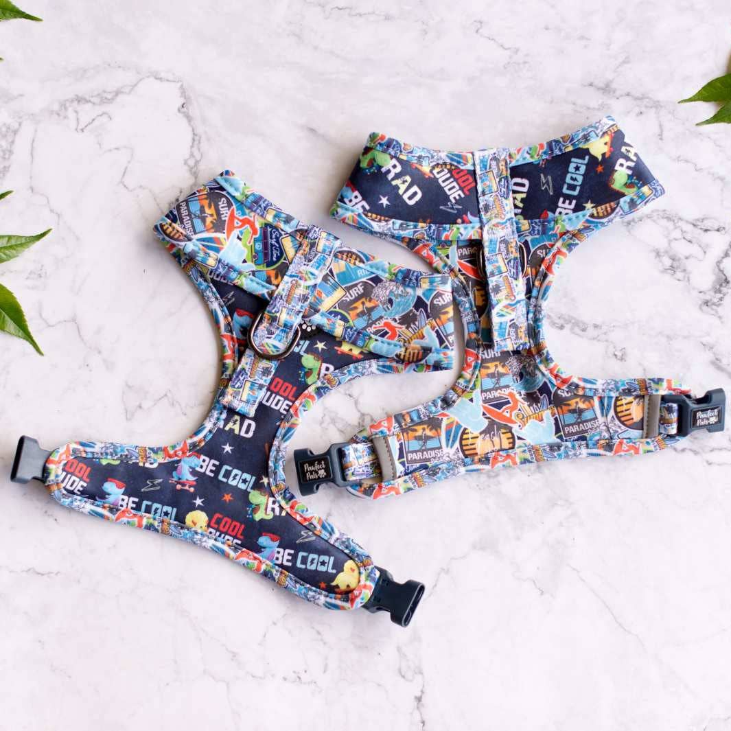 Pawfect Pals – Engroshandel Kæledyrssele – Hund – Little Dude - Vendbar hundesele1