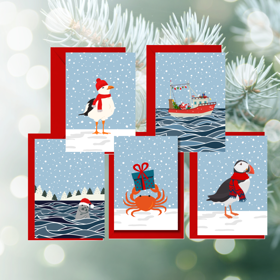 Waves & Wander - Wholesale Christmas Card - Coastal Christmas Cards 5 pack1