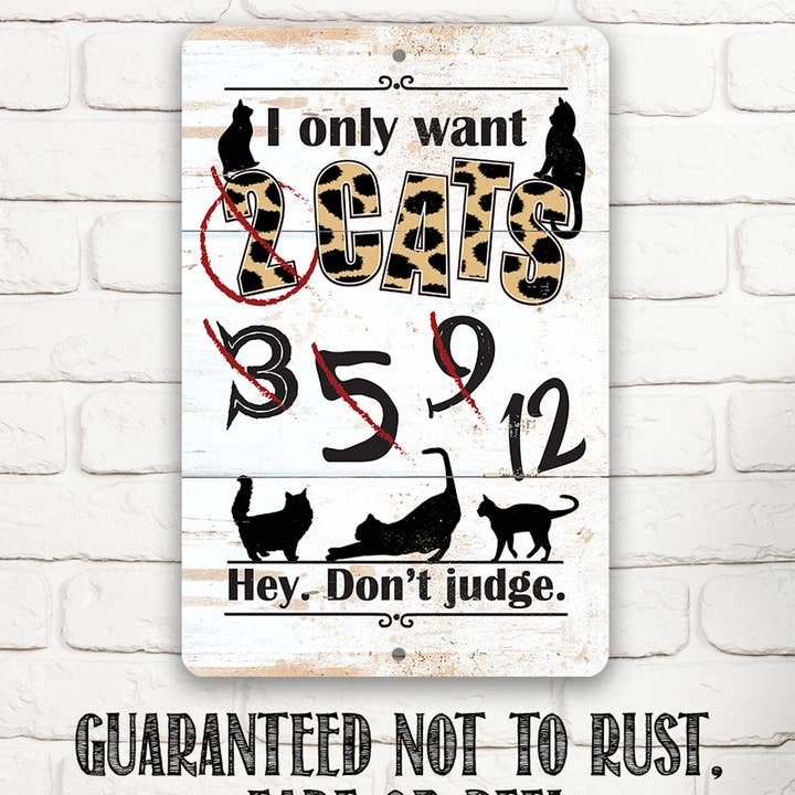 Lone Star Art Metal Signs - Wholesale Sign - I Only Want Cats - Metal Sign6