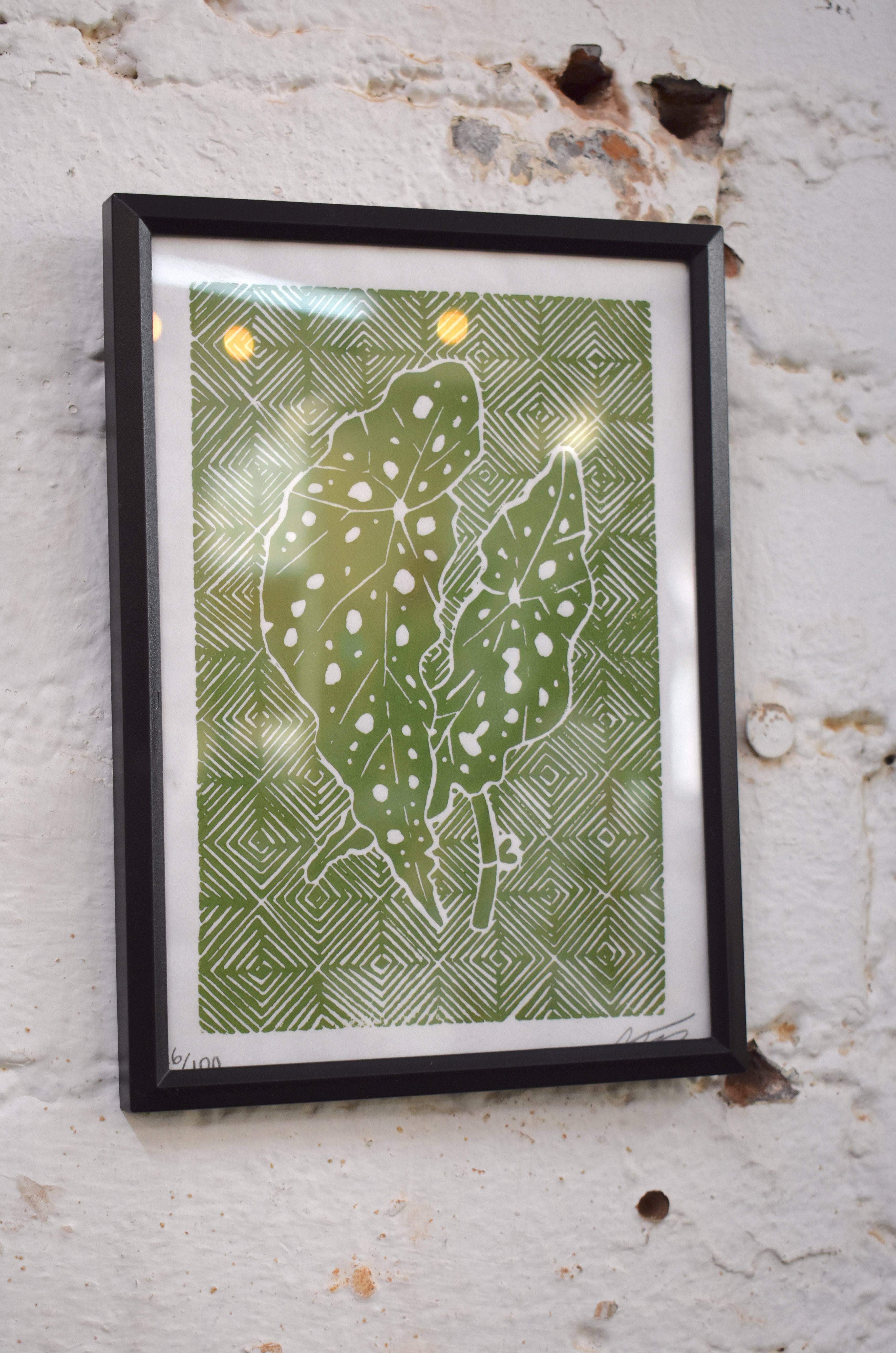 Morganite Press - Wholesale Art Print - Polka Dot Begonia (Begonia Maculata)  Linocut Print 1