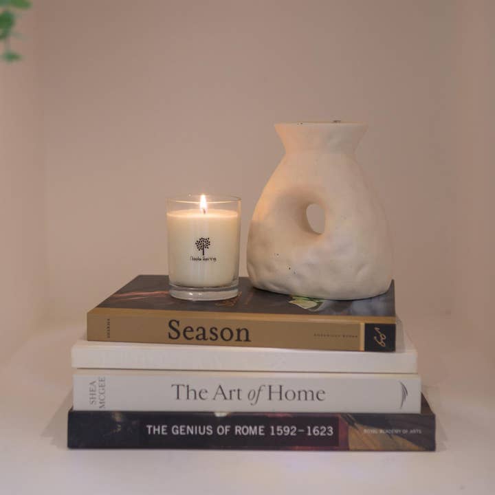 Rinkit Pty Ltd - Wholesale Jar/filled candle - Soy Wax Scented Candle - 160g - Summer Berries3