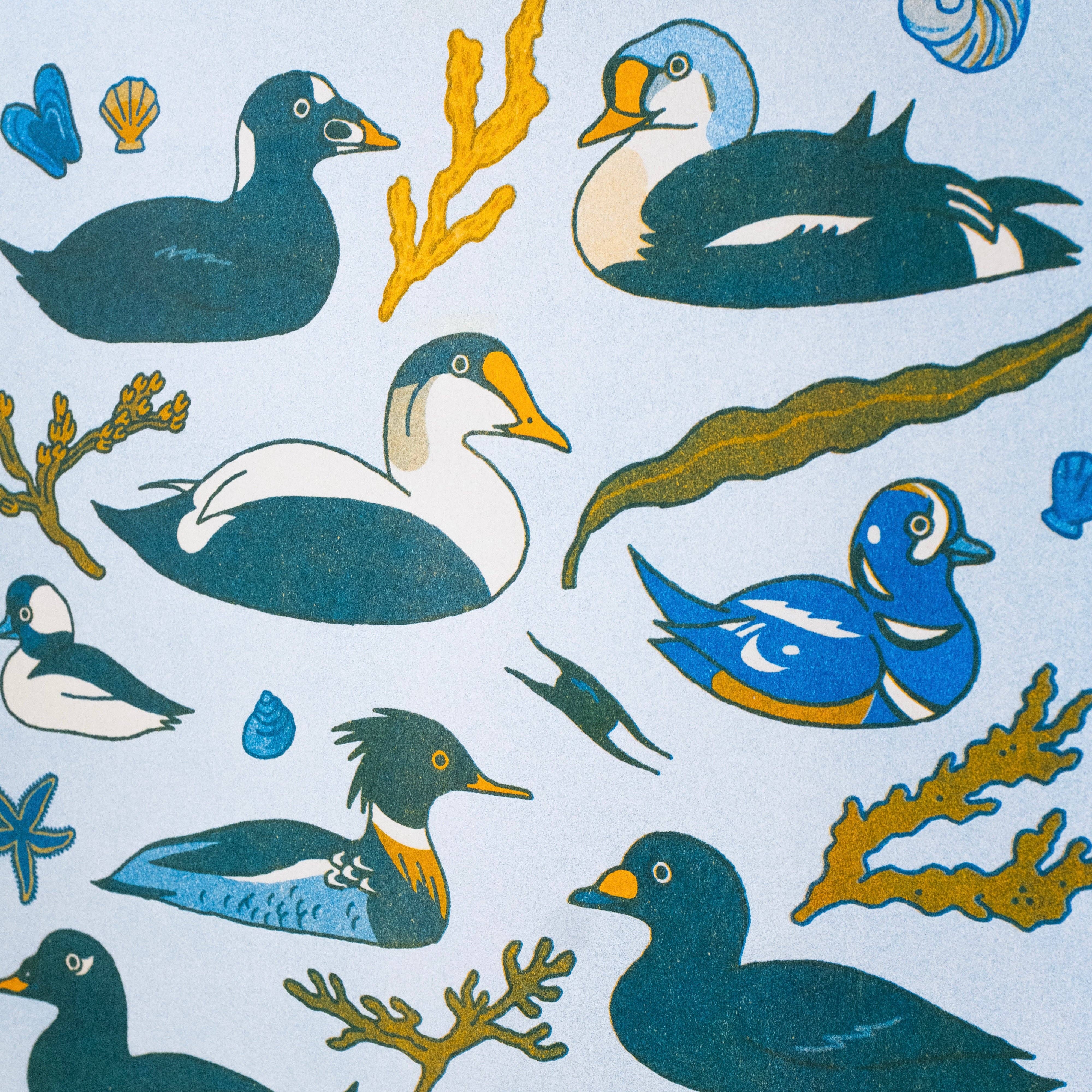 Camp Mustelid - Wholesale Art Print - Sea Ducks Risograph Print1