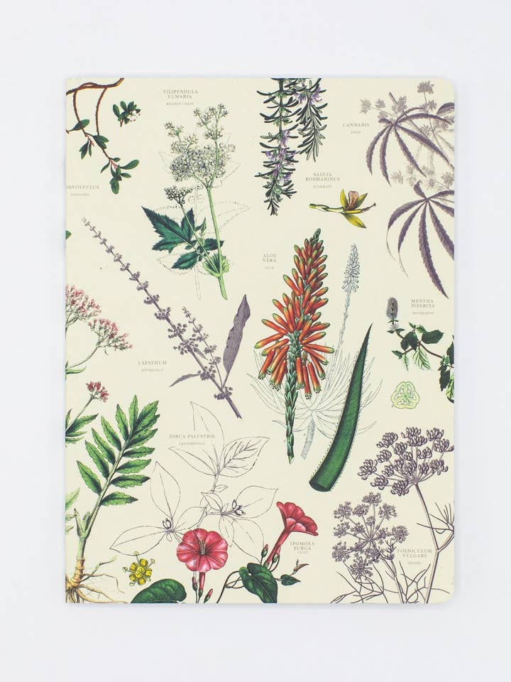 Notizbuch für Heilpflanzenkunde - Punktrasterseiten (Karton mit 6 Stück) für den Großhandel von Cognitive Surplus EU