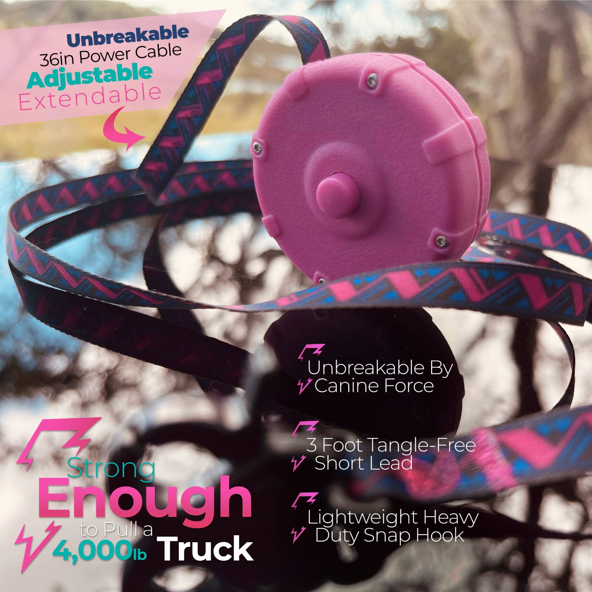 Lazy Leash! – Engroshandel Hundesnor - Hund – DOVEN SNOR! ⚡️ Mini Power Leash! 18pc Counter Skærmkasse8