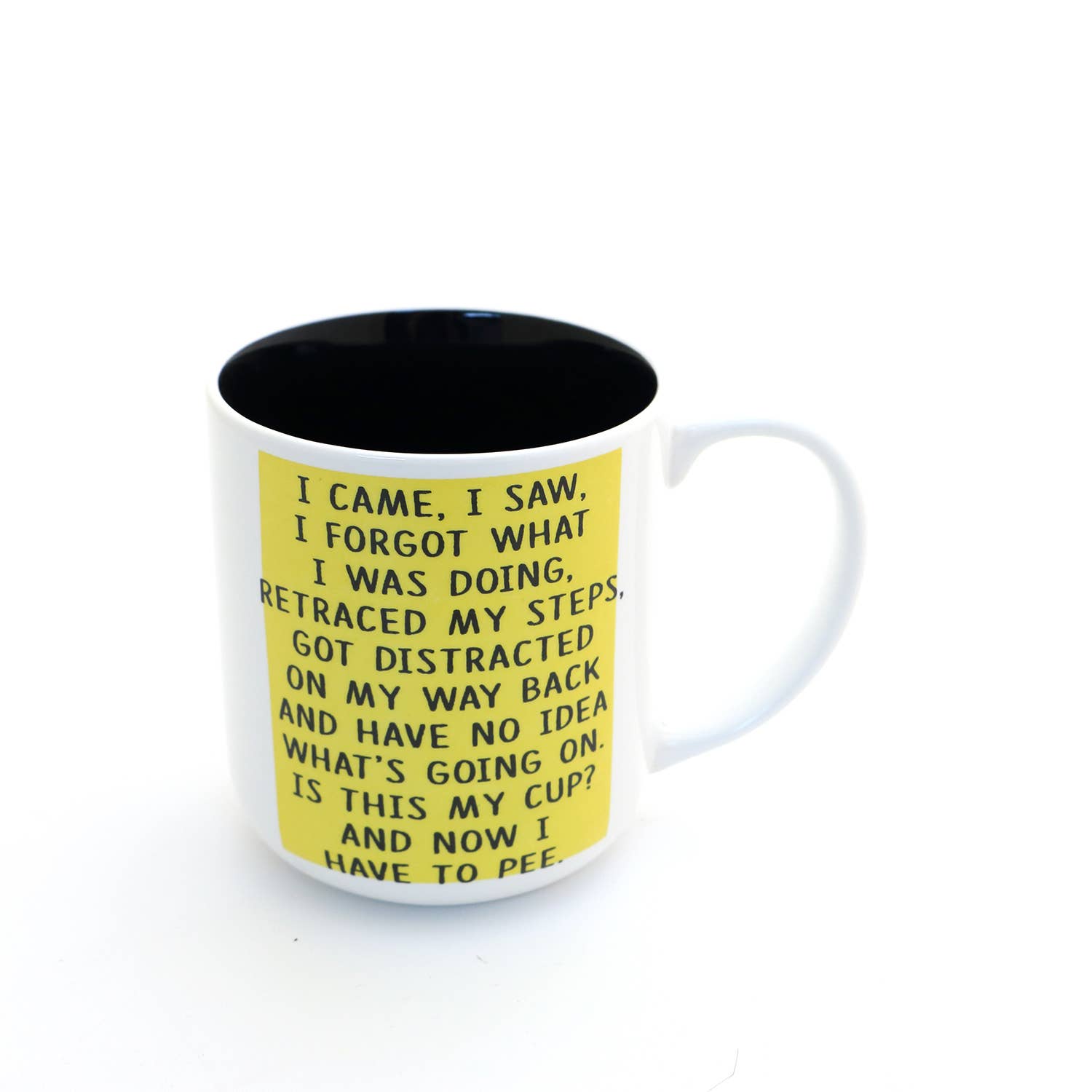 Lenny Mud - Wholesale Coffee Mug - I Came I Saw mug, middle aged, birthday mug, funny adulting4