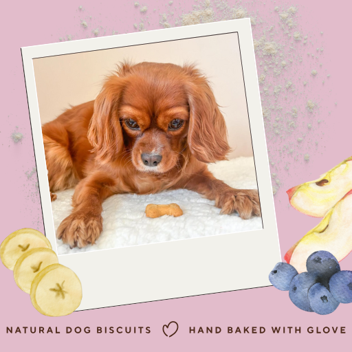 Betty Miller – wholesale Pet treats – Dog – Grain-Free Banana, Apple & Blueberry Bones 7.5kg2