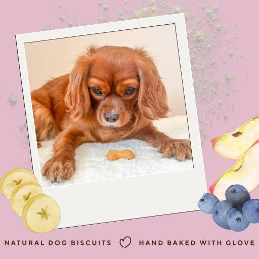 Betty Miller – wholesale Pet treats – Dog – Grain-Free Banana, Apple & Blueberry Bones 7.5kg2