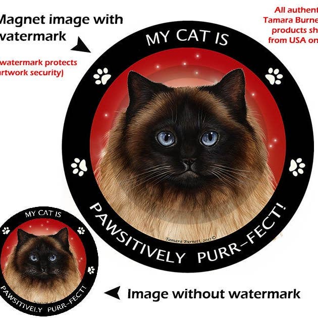 Pet Gifts USA, LLC – wholesale Magnet – Himalaya katt min bästa vän cirkulär magnet