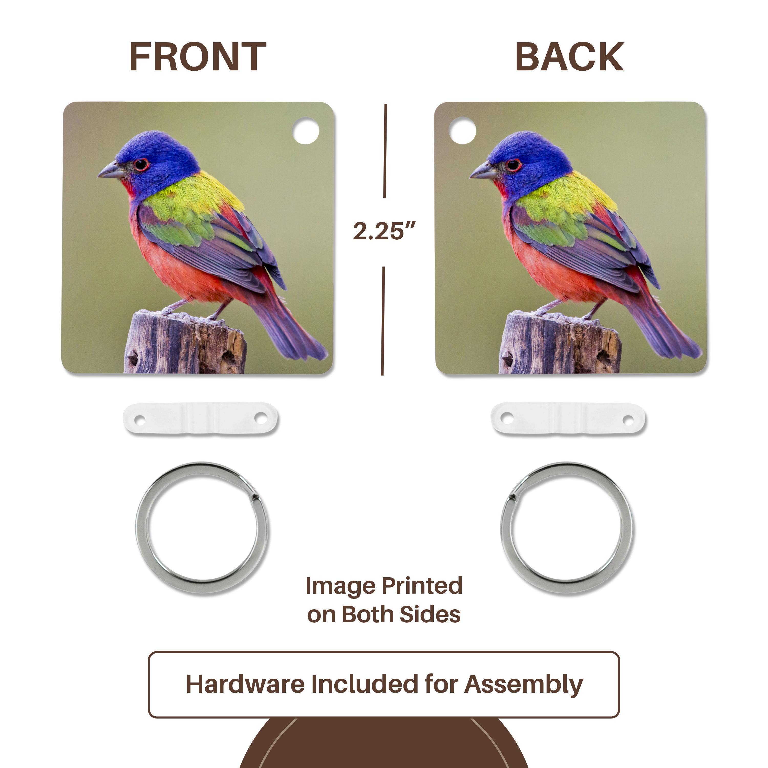 3dRose - Wholesale Keychain - Unisex - 3dRose, Painted Bunting male bird perched - US44 LDI1047 - Larry Ditto, Key Chain4