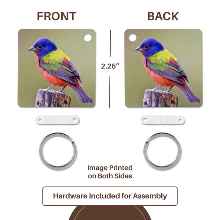 3dRose - Wholesale Keychain - Unisex - 3dRose, Painted Bunting male bird perched - US44 LDI1047 - Larry Ditto, Key Chain4