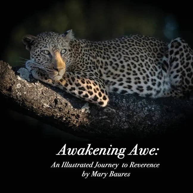 Books by splitShops - Wholesale Nature & Outdoors - Awakening Awe: An Illustrated Journey to Reverence - Hardcover