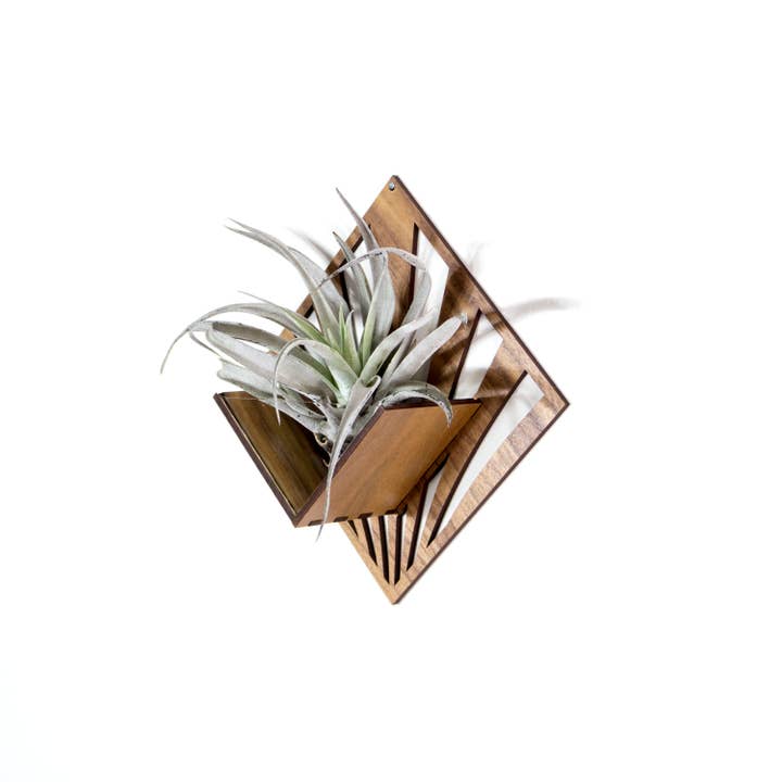 LIGHT RAZOR DESIGN STUDIO - Wholesale Wall planter - Air Plant Holder / Quadrate Wall Hanging Planter 220