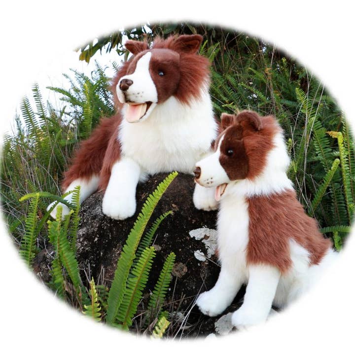 Wholesale Fudge Chocolate Border Collie Size 62cm/24