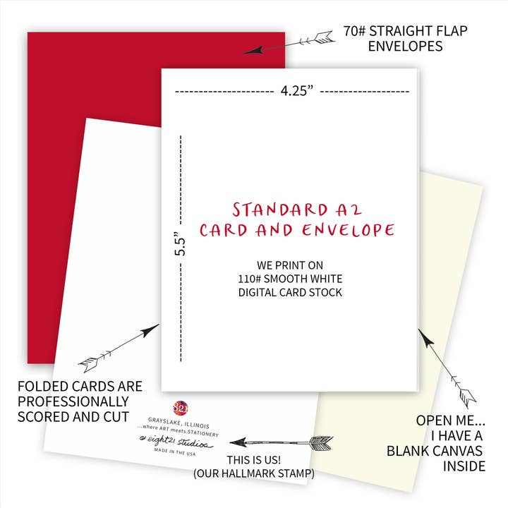 Eight21 Studios + Unique Greeting Cards, Art and Stationery - Wholesale Thank You Card - Pink Blush Garden Rose Floral Thank You Greeting Card1