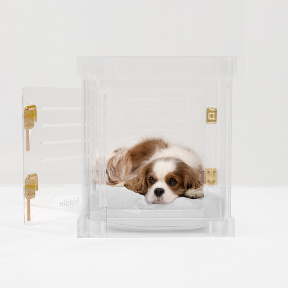 Hiddin - Wholesale Pet Carrier - Dog - Small Crate (Gold Latch)26