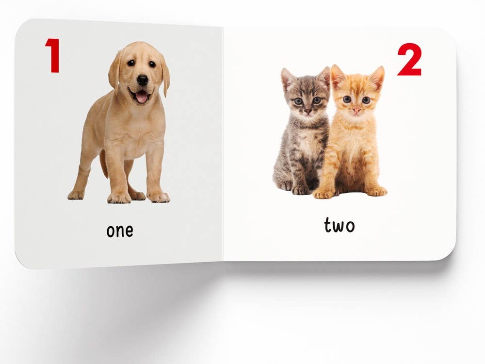 Independent Publishers Group - Wholesale Baby & Toddler Book (0-2) - My First Library3