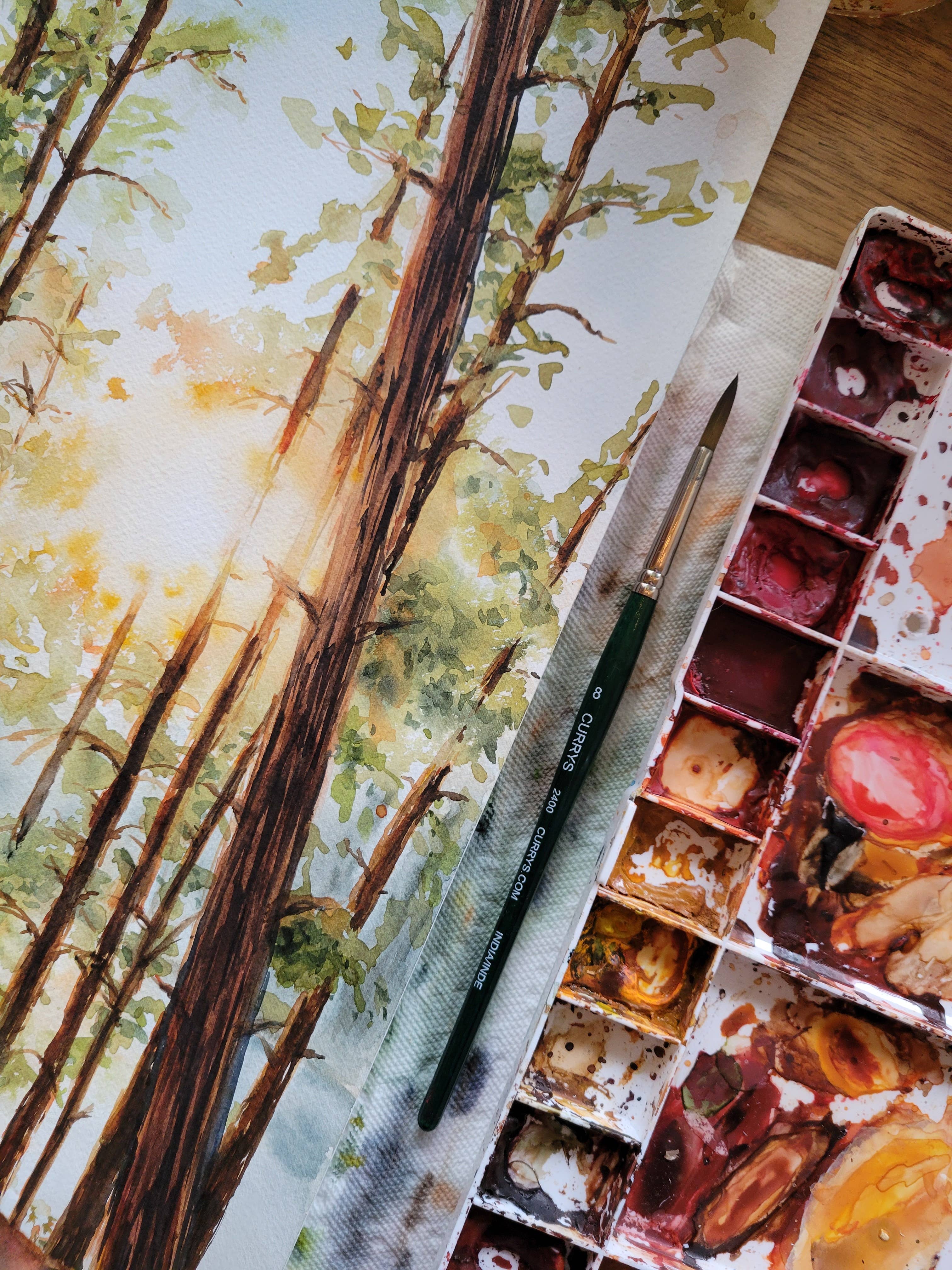 Paperbec Design Co. - Wholesale Art Print - "Algonquin Sunset Through the Pines" Forest Watercolor Print3