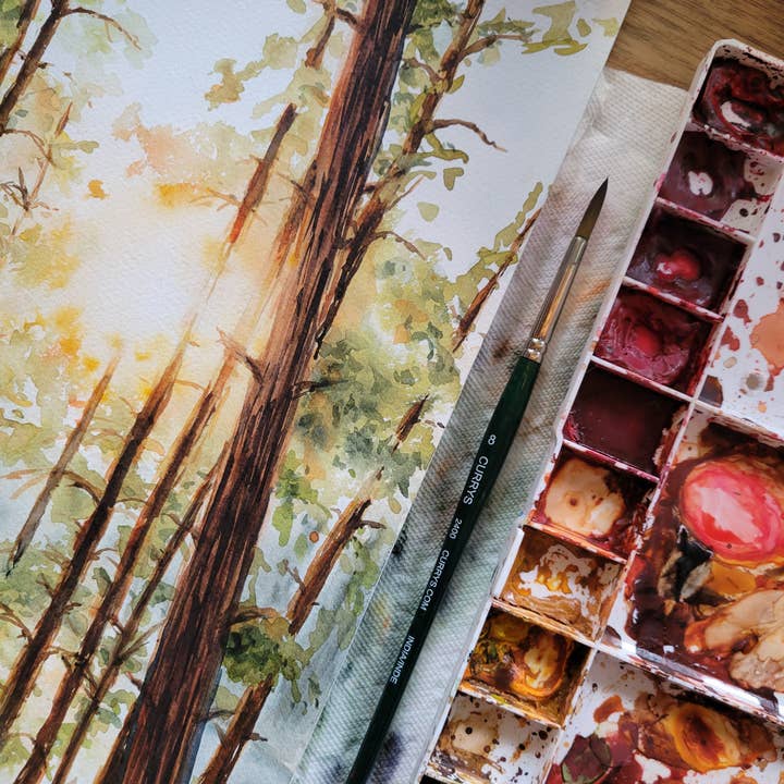 Paperbec Design Co. - Wholesale Art Print - "Algonquin Sunset Through the Pines" Forest Watercolor Print3