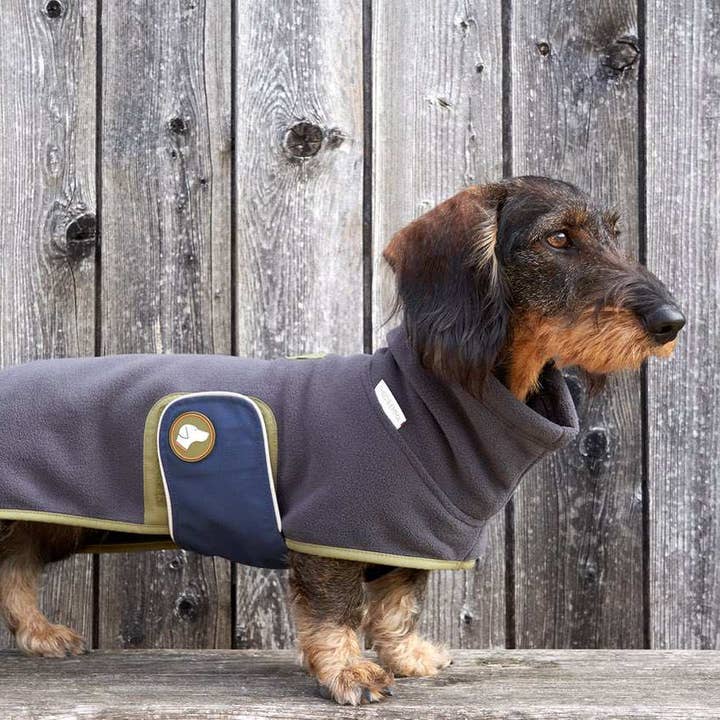 anthracite Pull en polaire pour teckel Henry en anthracite en vente sur Faire2