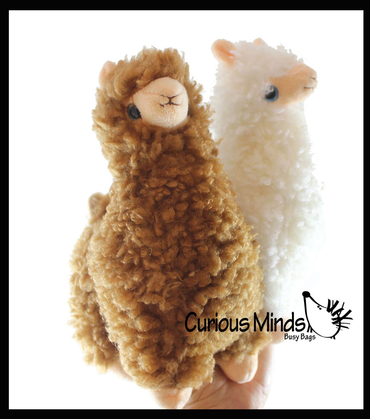Curious Minds Toys - Wholesale Stuffed/Plush Toy - Kids & Baby - 1 Wooly Alpaca Stuffed Animal Toy - Soft Animal Plushie  Stu5