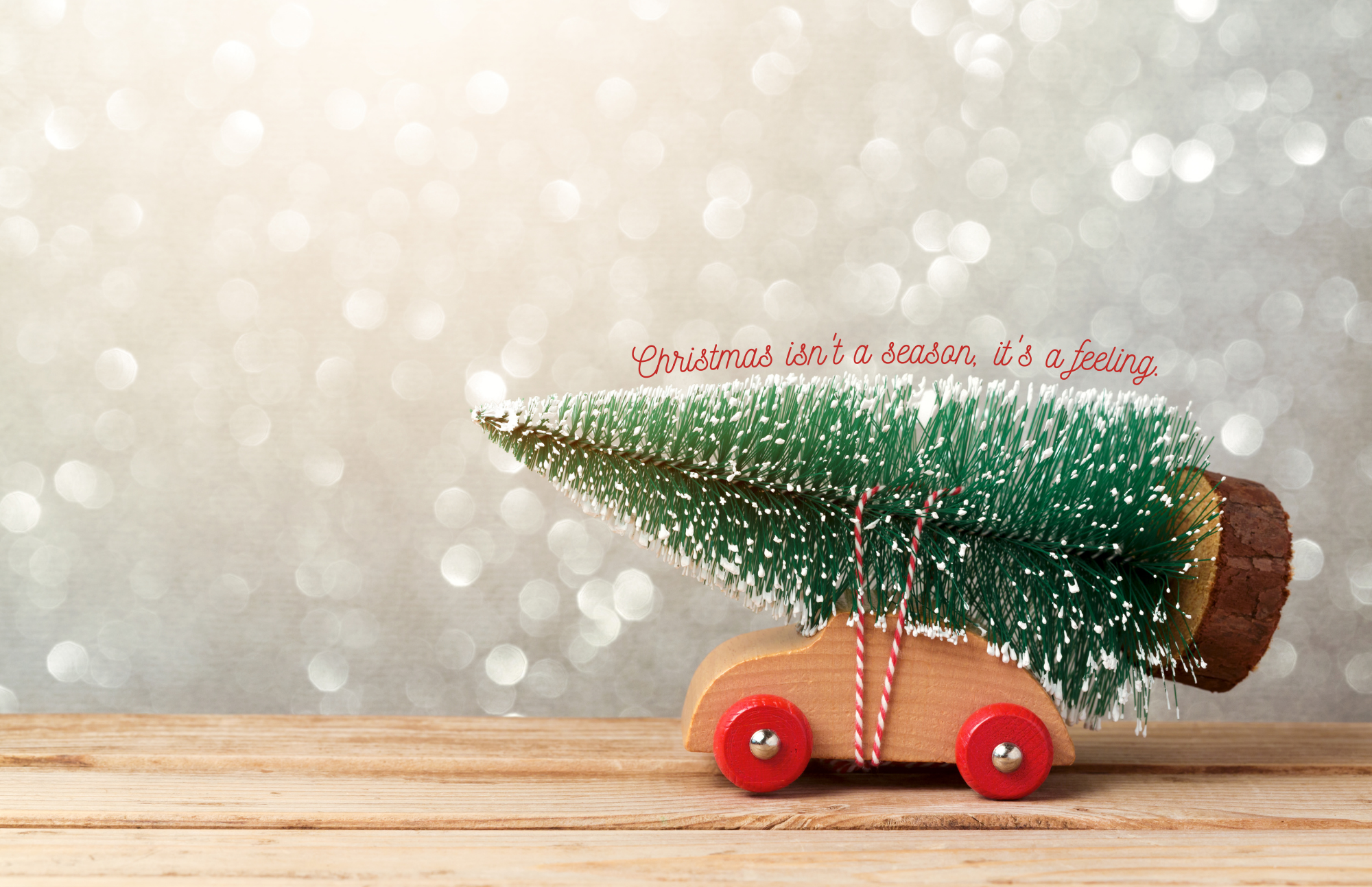 TAYLOR GRAY - Wholesale Decorative Tray - 11x17 TRADITIONAL CHRISTMAS insert set of 108