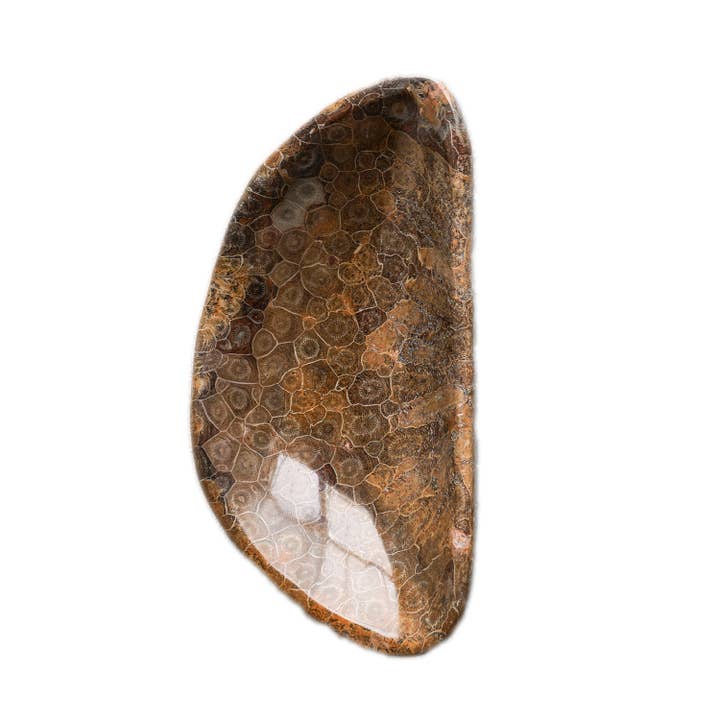 Blue Ocean Traders - Wholesale Decorative Plate/Dish/Bowl - Coral Fossil Bowl3