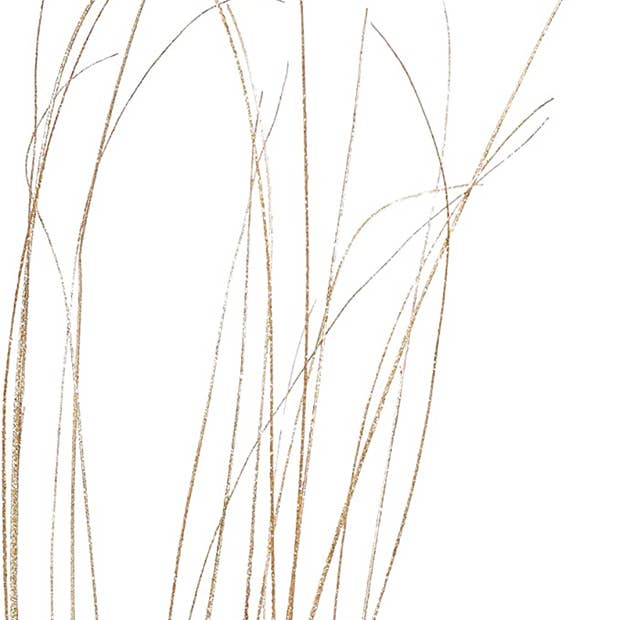 TF Publishing - Paper Goods - Wholesale Dried/Pressed Flowers - Sparkle Glitter Wispies Pack of 20 Stems 36in Champagne