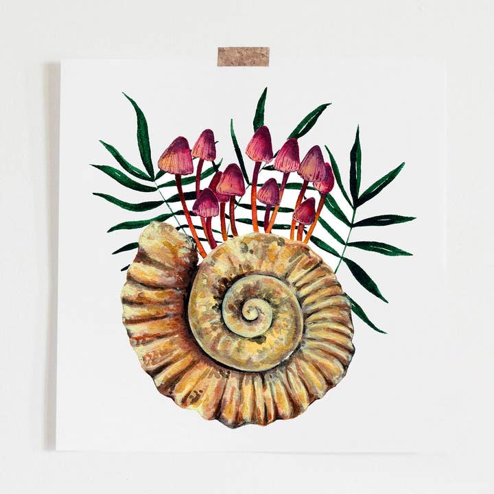 Estampado Amonite Fossil E Cogumelos, Decoração de Cogumelos por atacado de Candace Fincher