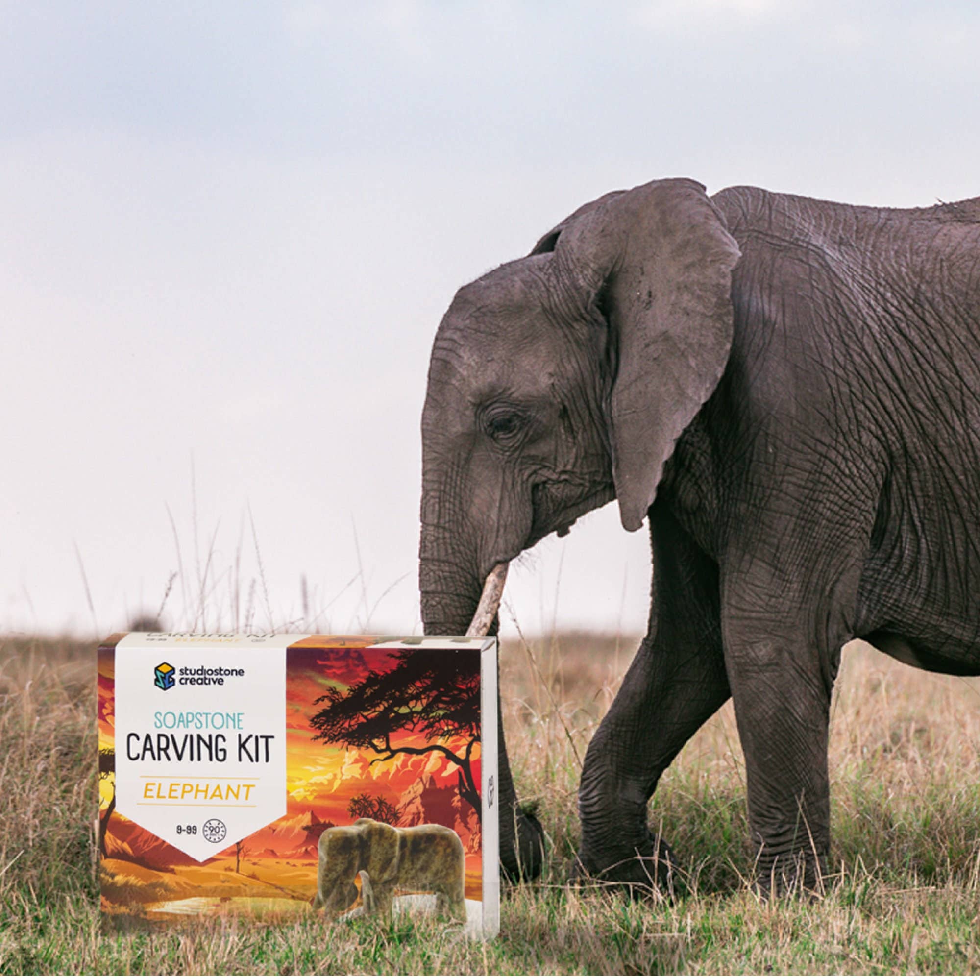 Studiostone Creative - Wholesale DIY Craft Kit - Kids - Elephant Soapstone Carving Kit10