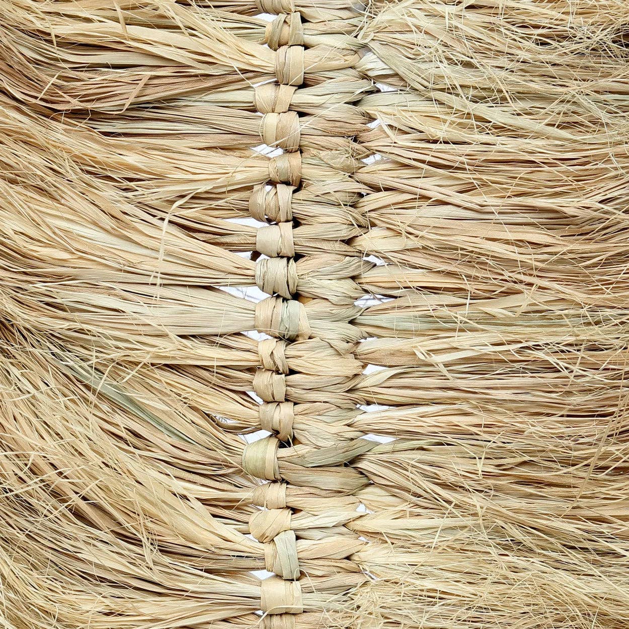 Bazar Bizar Living - Wholesale Dried/Pressed Flowers - The Raffia Palmeira - Natural4