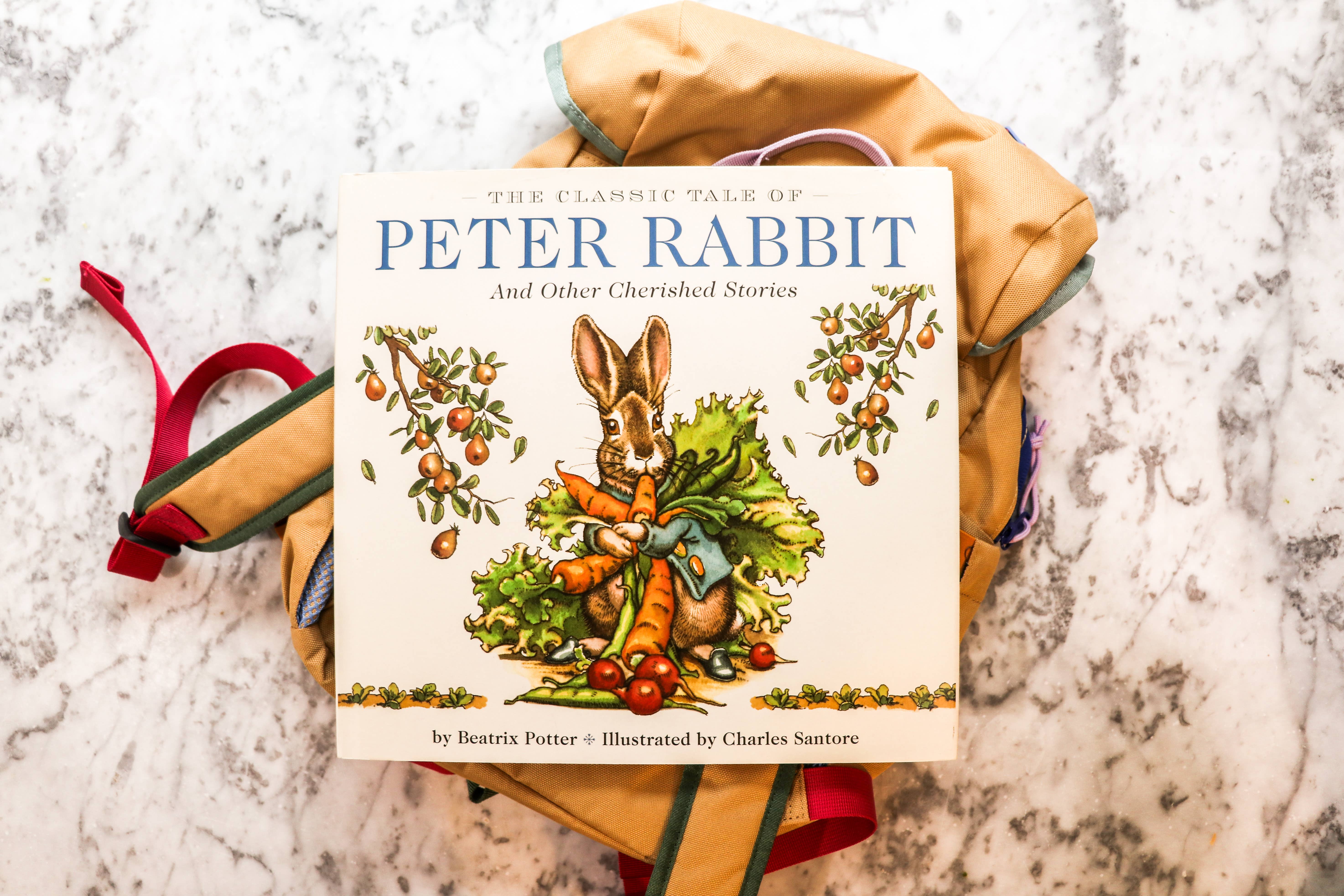 HarperCollins Focus - Wholesale Preschool Book (3-5) - The Classic Tale of Peter Rabbit Hardcover: The Classic Ed9