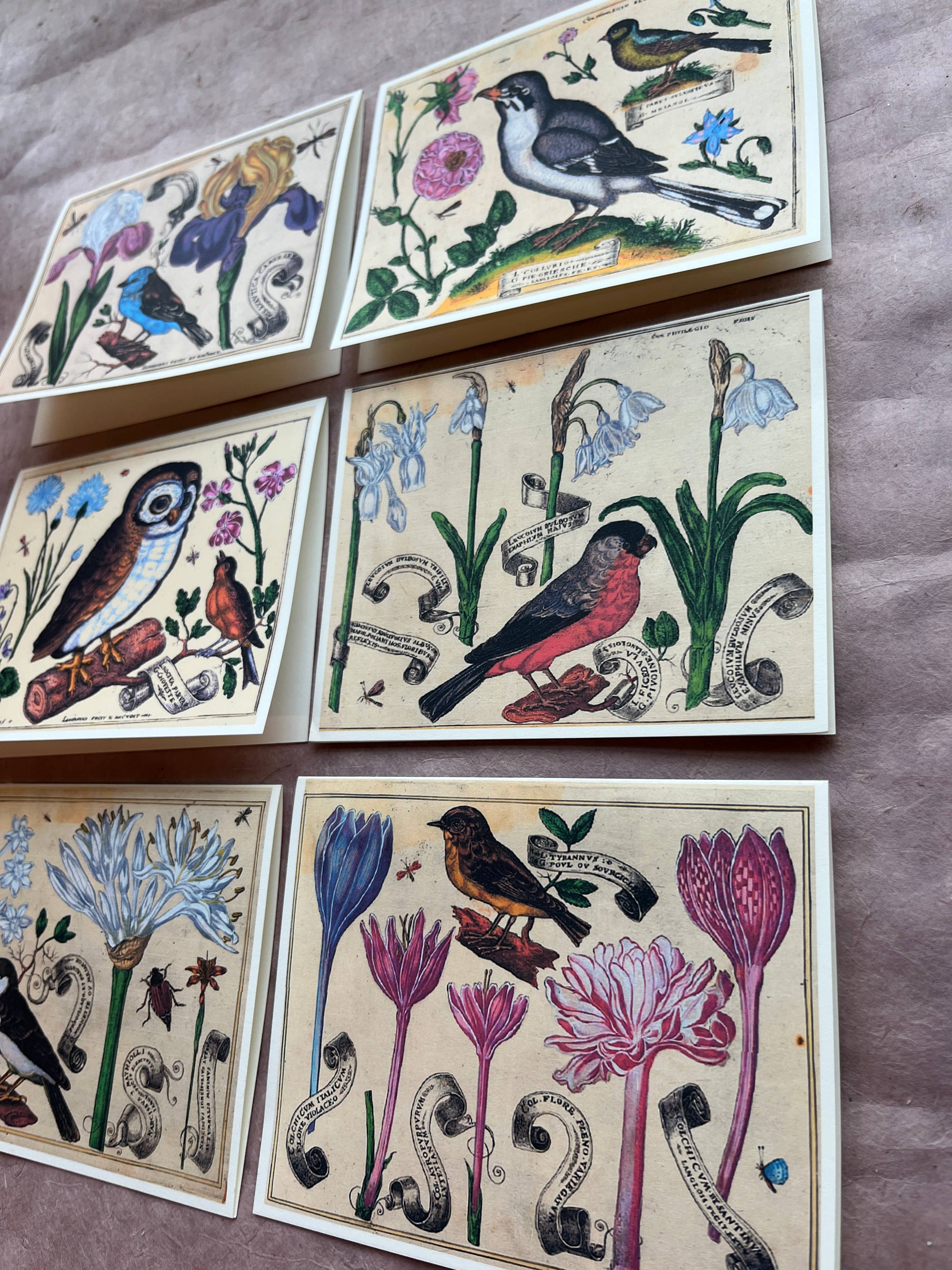 Parcel - Wholesale Everyday Greeting Card - Bird and Flower Greeting Card Set1