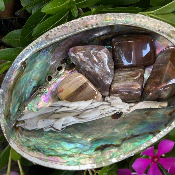 Bodhi Leaf Market - Wholesale Spiritual Stone/Crystal - Fossilized Wood, Polished Fossilized Wood, Crystal Magic