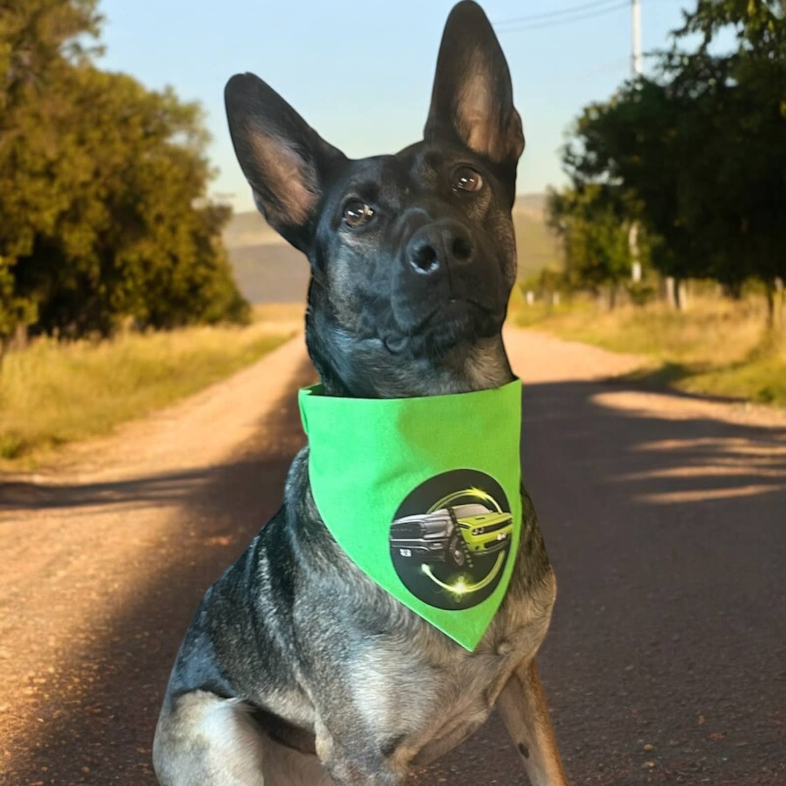Storms Style - Wholesale Pet Bandana - Dog - Custom Logo Pet Bandanas - Dog Cat2
