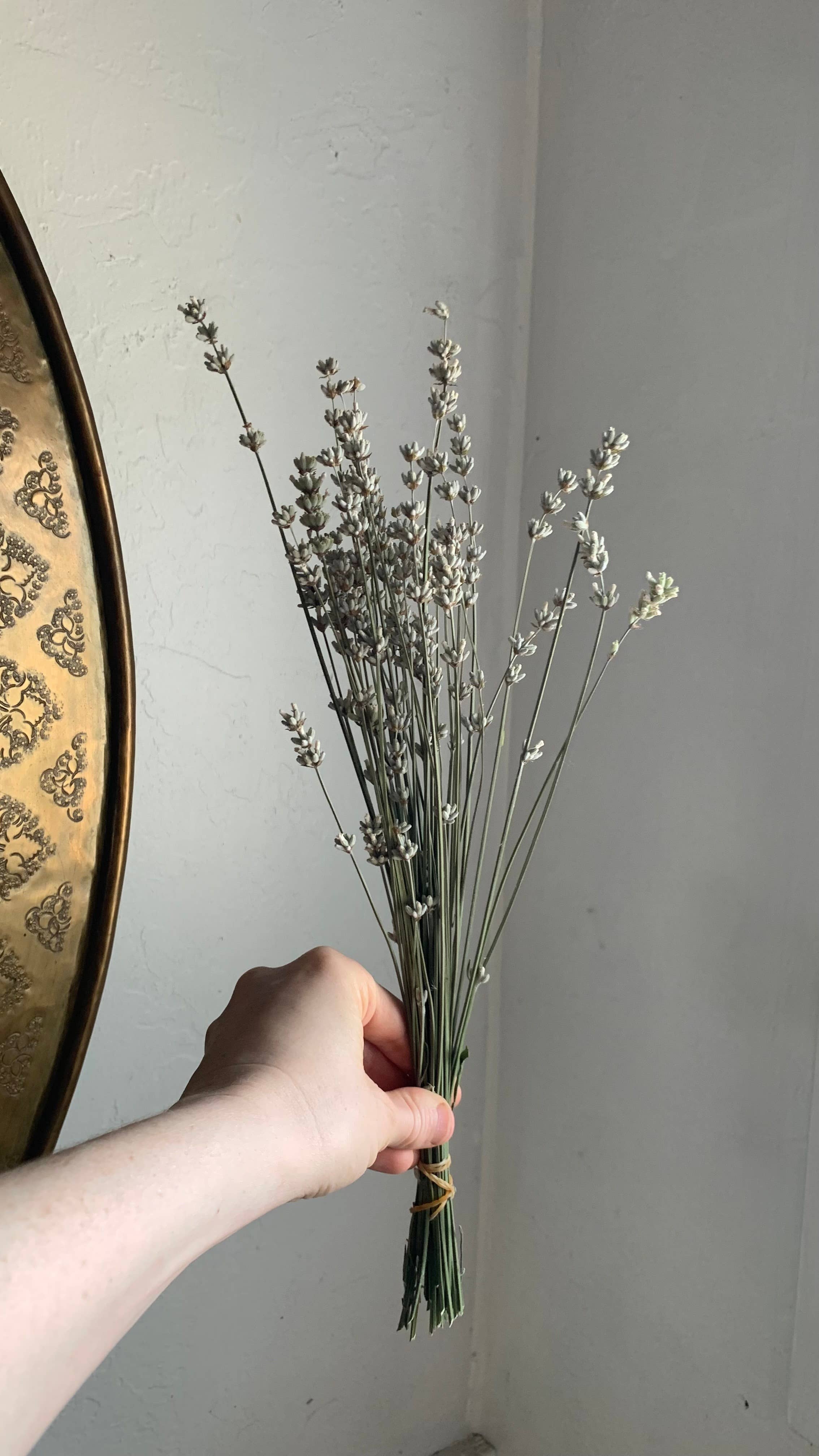 Twig and Snip - Wholesale Dried/Pressed Flowers - Dried White Lavender - Healing Flowers5