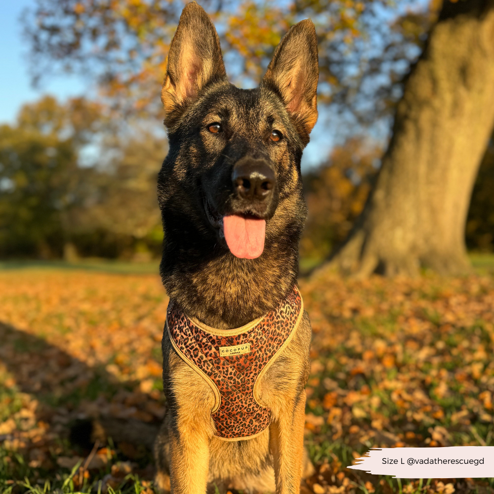 Cocopup London - Wholesale Pet Harness - Dog - Quilted Leopard Pup Adjustable Neck Harness24