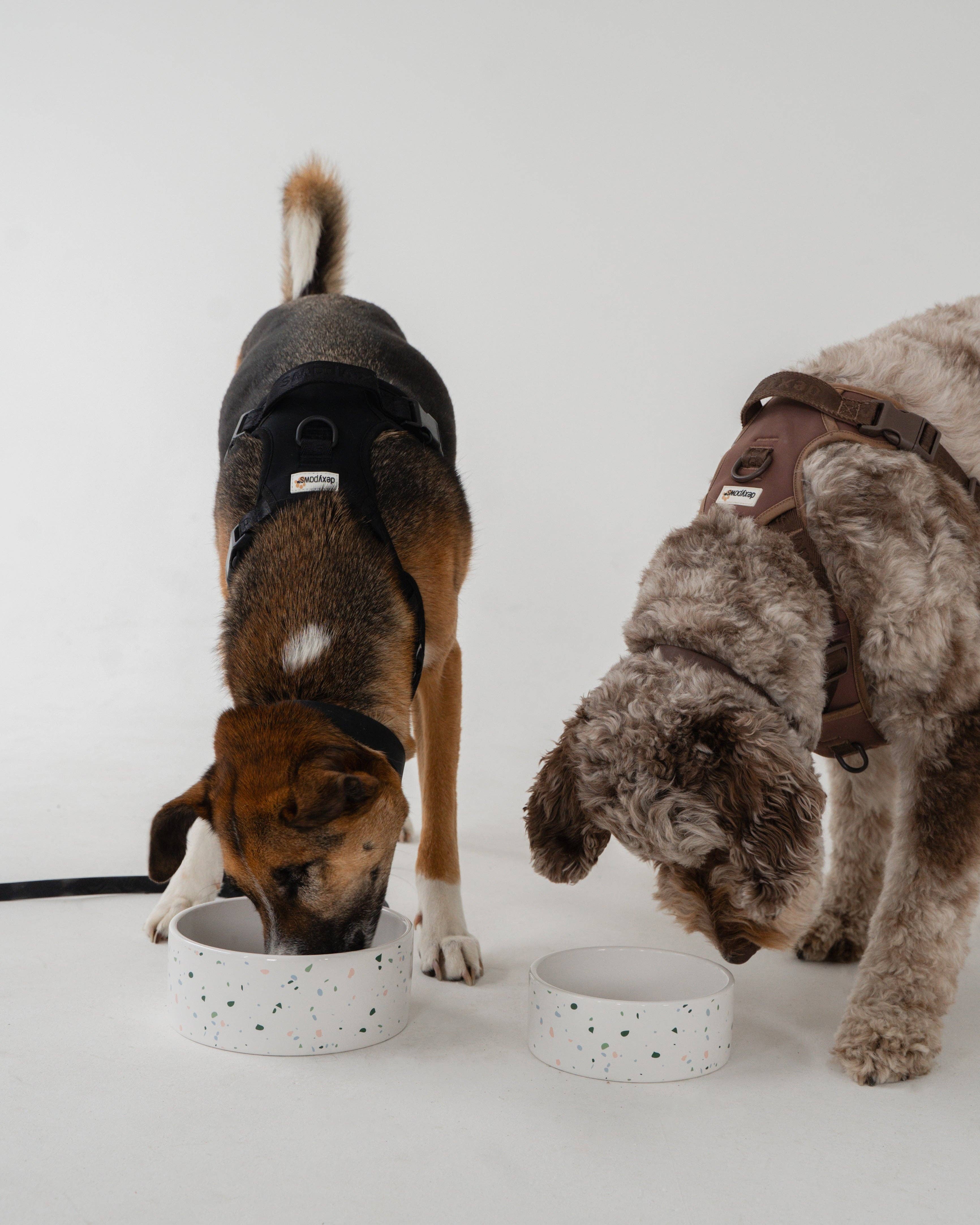 dexypaws - Wholesale Pet Bowl - Cat/Dog - Terrazzo Dog Bowl1