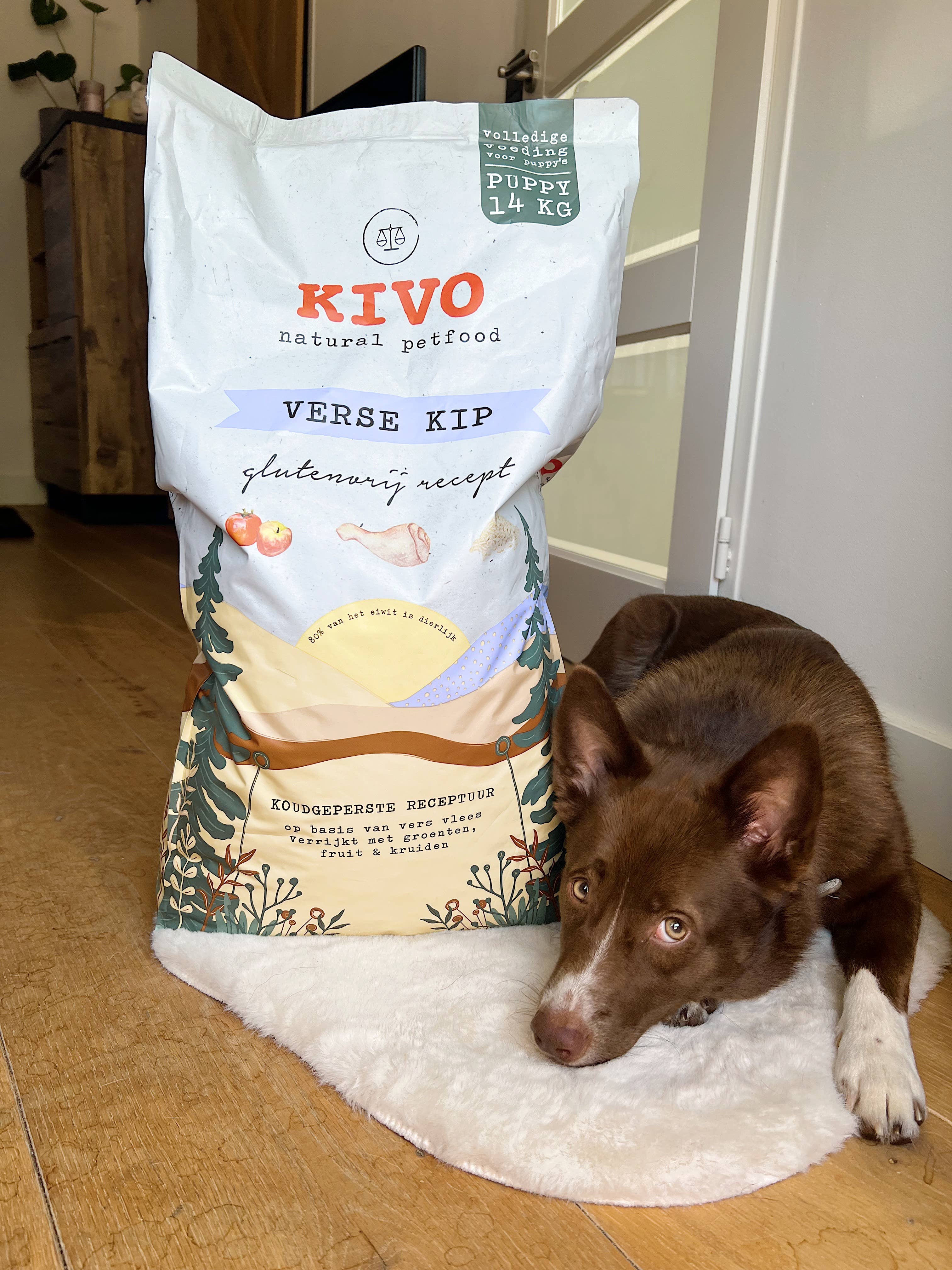 Kivo Petfood - Wholesale Pet Food - Dog - Fresh Chicken Puppy - Cold Pressed - Gluten Free6