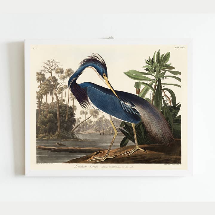 Sea to Skye - Wholesale Art Print - Louisiana Heron Antique Art Print2
