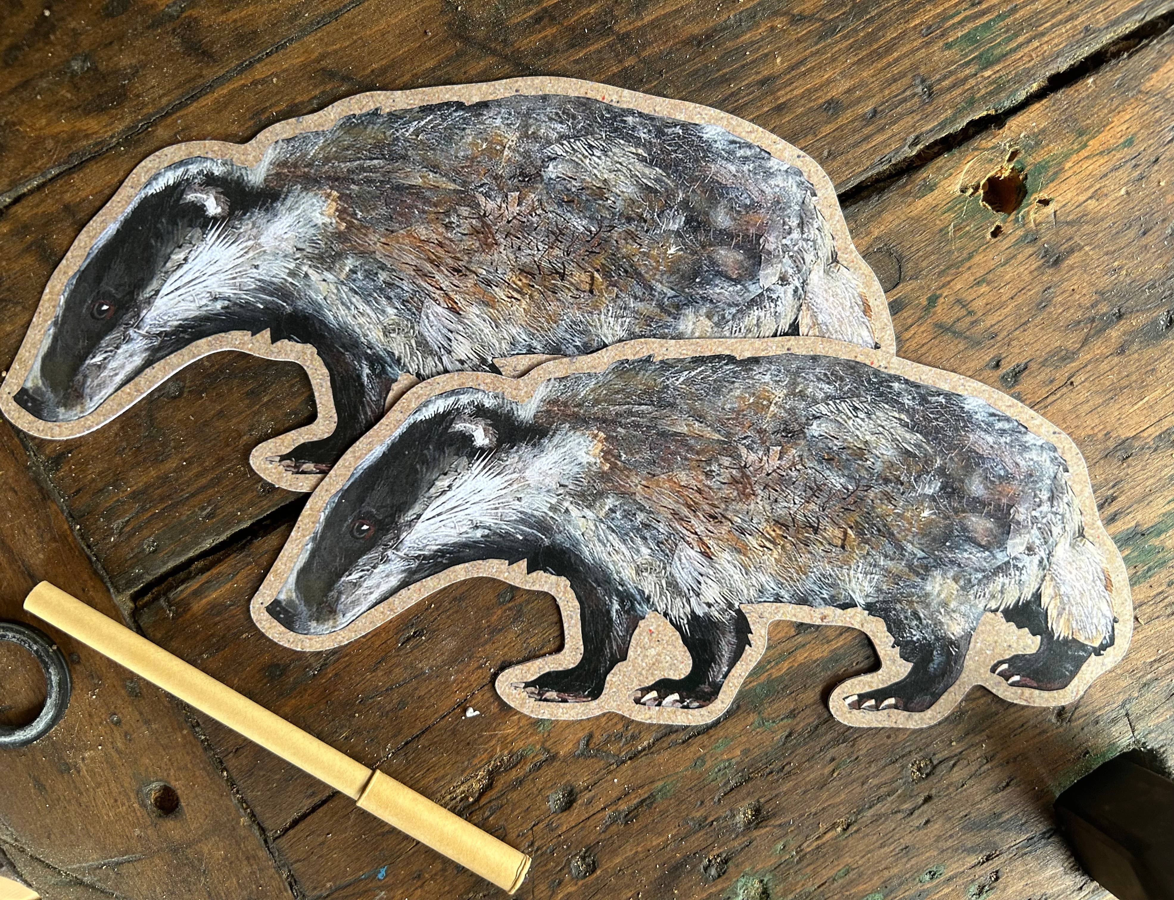 Clare O’Neill Artworks - Wholesale Postcard - Large Custom cut Badger postcard 0