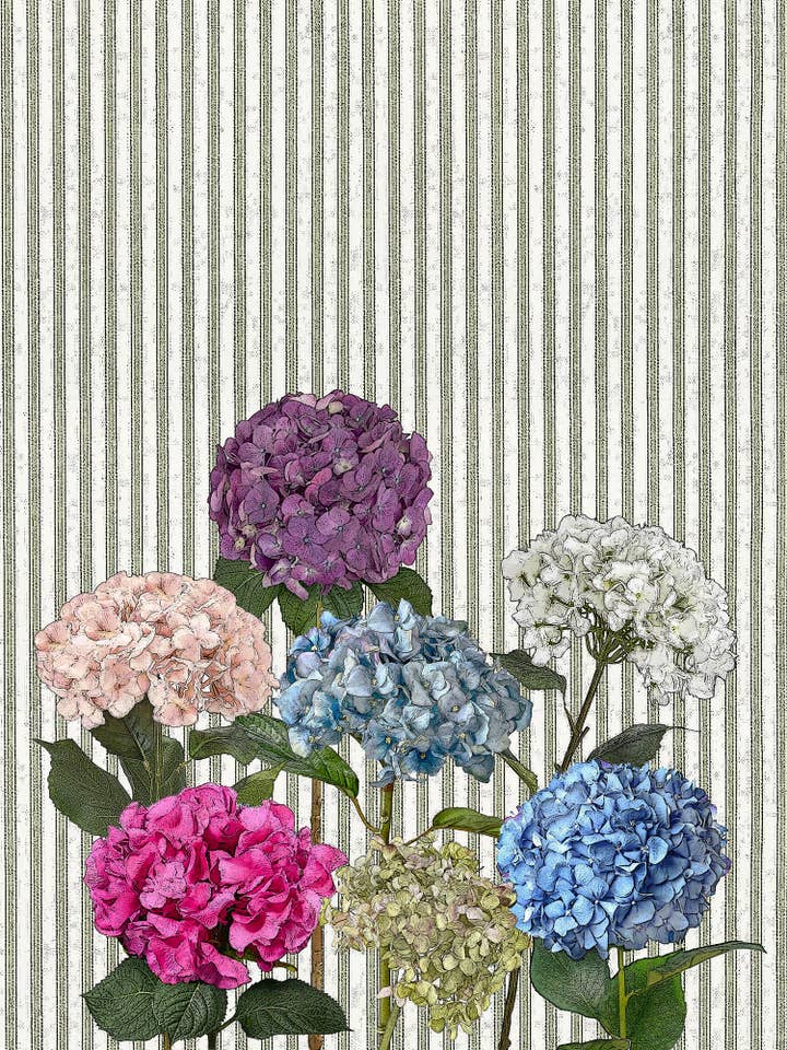 hortensia (stribet) 100% bomuld melklæde viskestykke 18 x 24 tommer for engroshandel hos Alphie and Ollie
