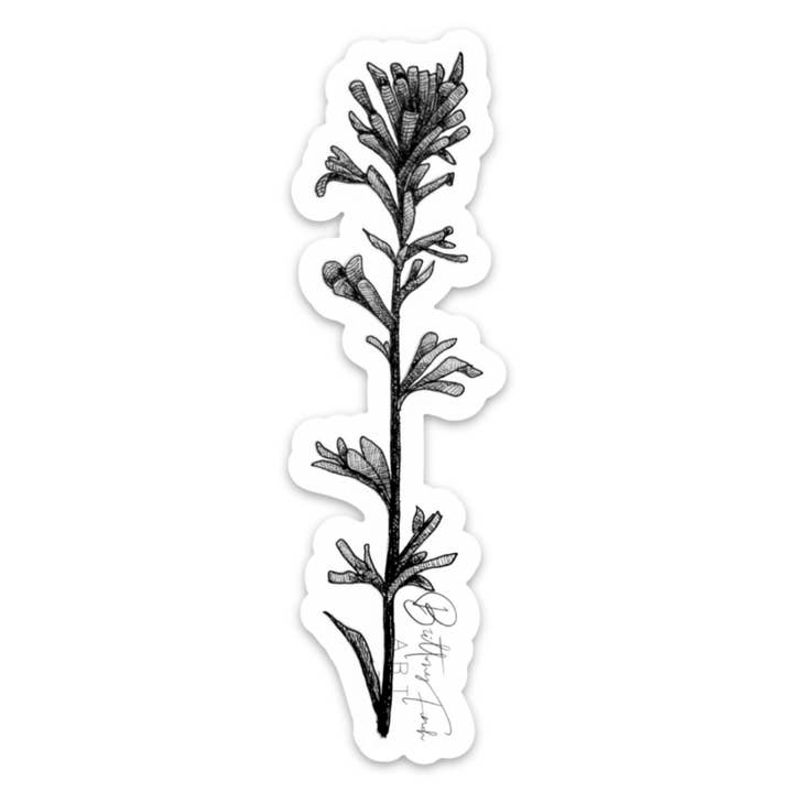 Indian Paintbrush Vinyl Sticker for wholesale by Brittany Finch Art