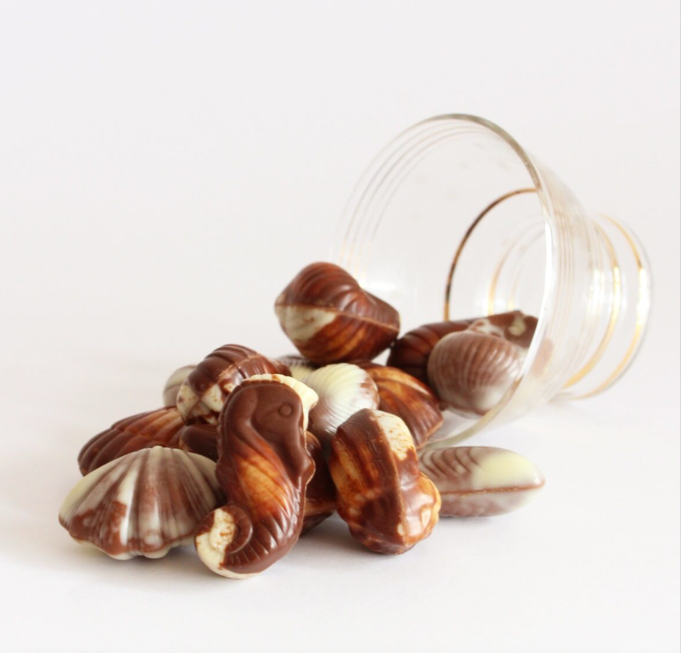 Belgium's Chocolate Source - Wholesale Chocolate Box - Guylian Chocolate Sea Shells - 6 Pc. Box (65g, 24/case)3