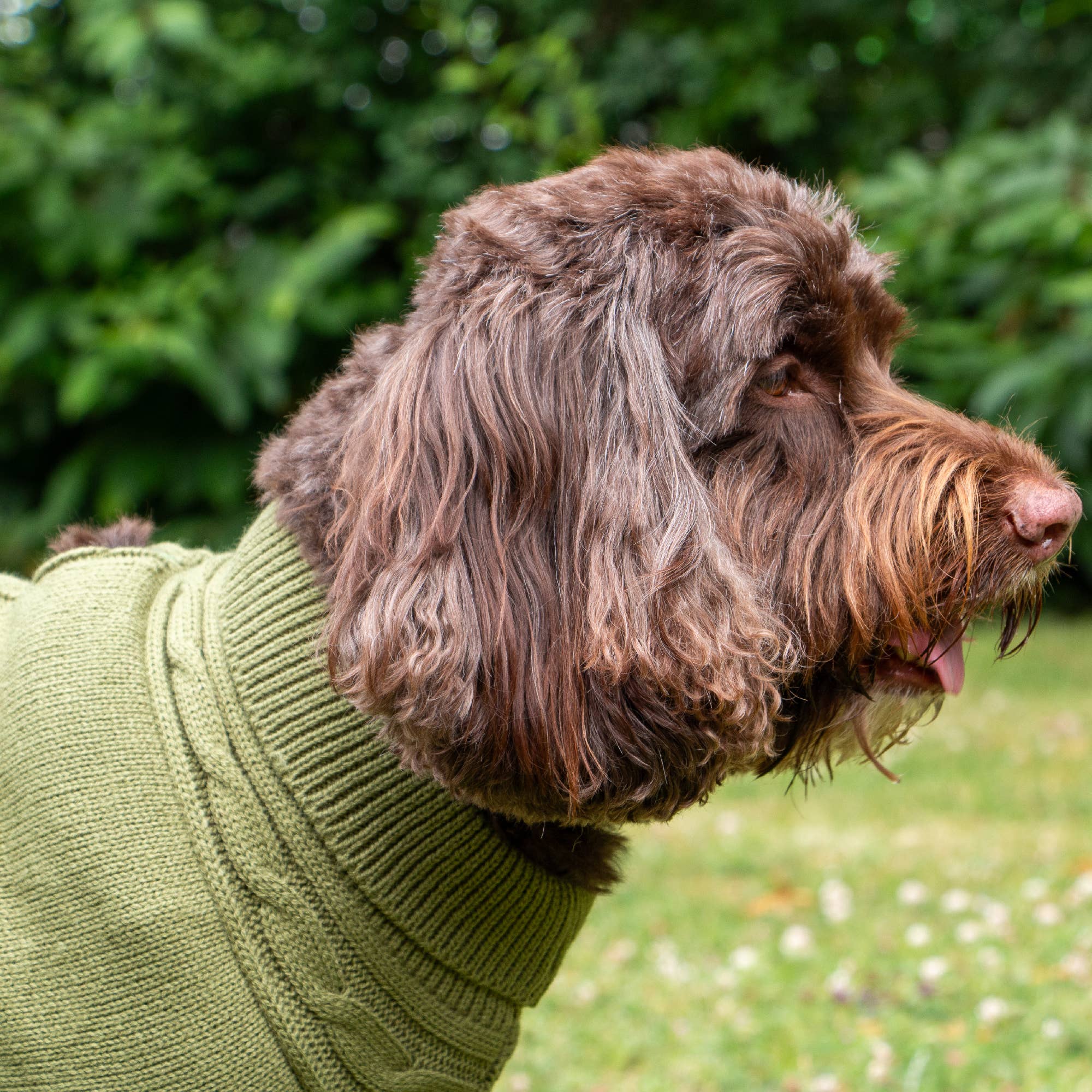 Ancol Pet Products Ltd – wholesale Pet jumper – Dog – Snug Cable Knit Jumper GREEN ( 4 sizes available) 0