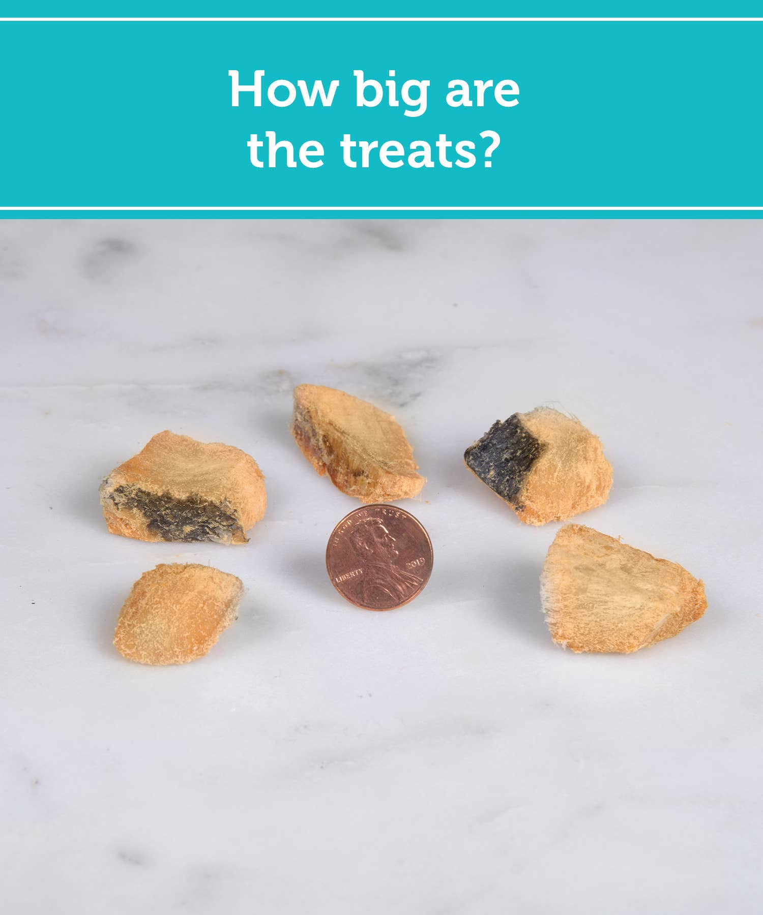 Fig & Tyler - Wholesale Pet Treats - Dog - Freeze-Dried Alaskan Salmon2