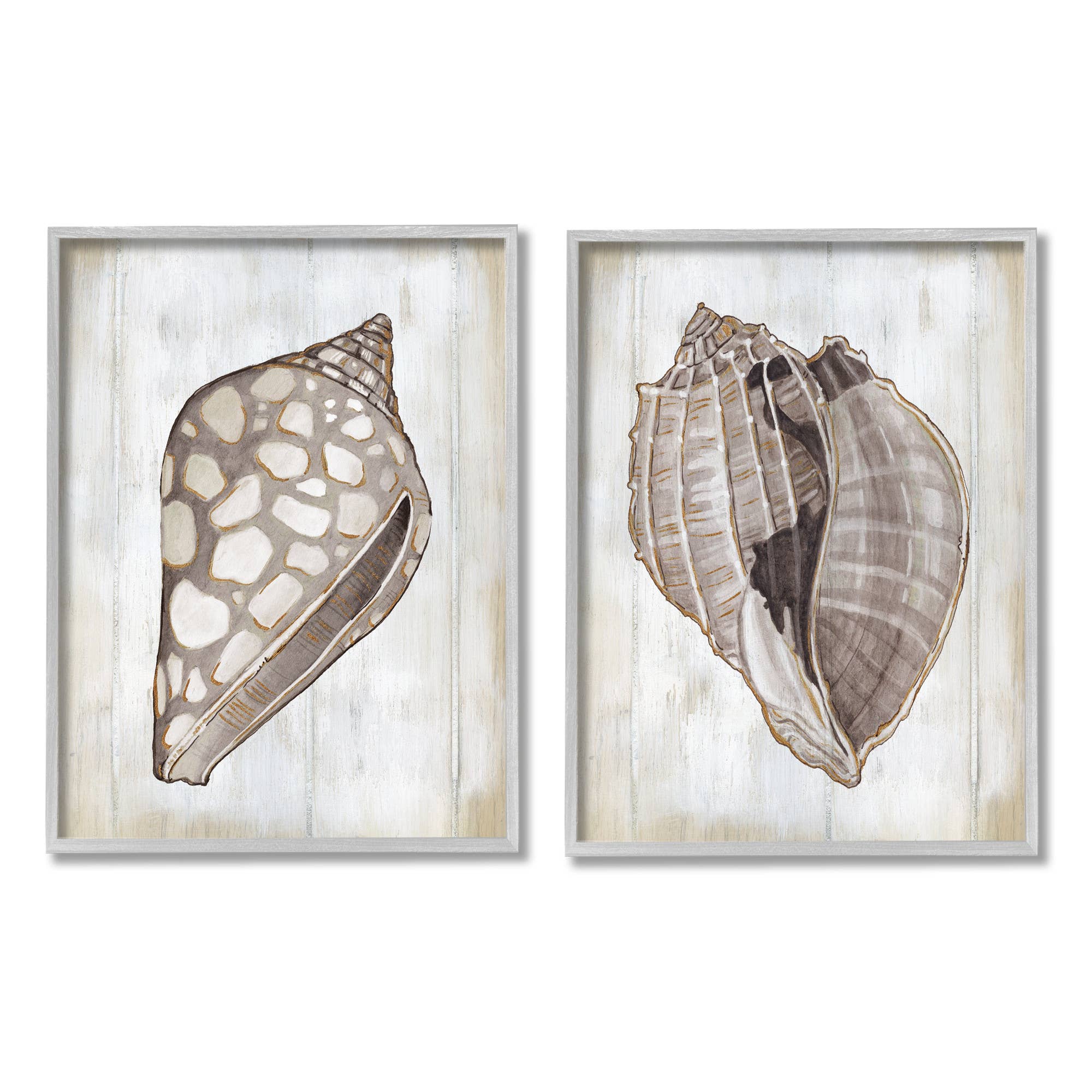 Stupell Industries - Wholesale Gallery Wall Set - Brown Nautilus Sea Shells 2pc Framed3