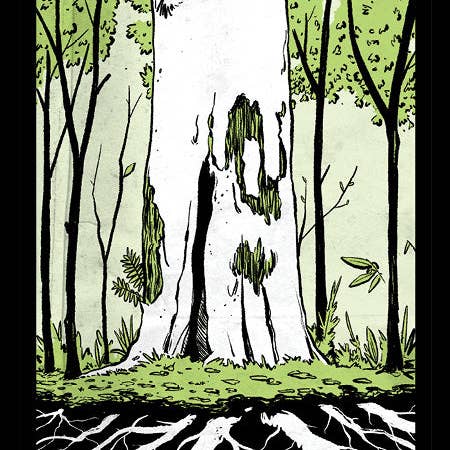 Applewood Books - Wholesale Tarot Cards - Great Lakes Tarot Deck3