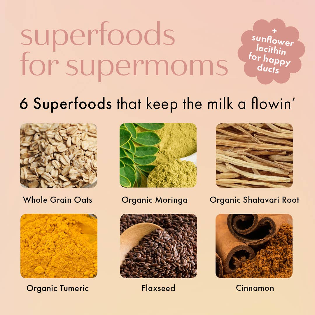 Boobie Superfoods - Wholesale Snack Bar - BULK Oatmeal Chocolate Chip (individual bars)4